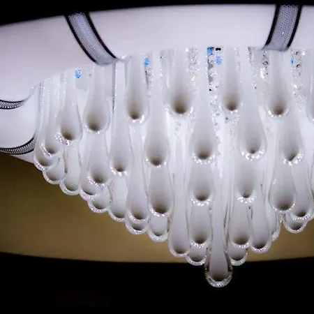 凤凰7号酒店 酒店 3*